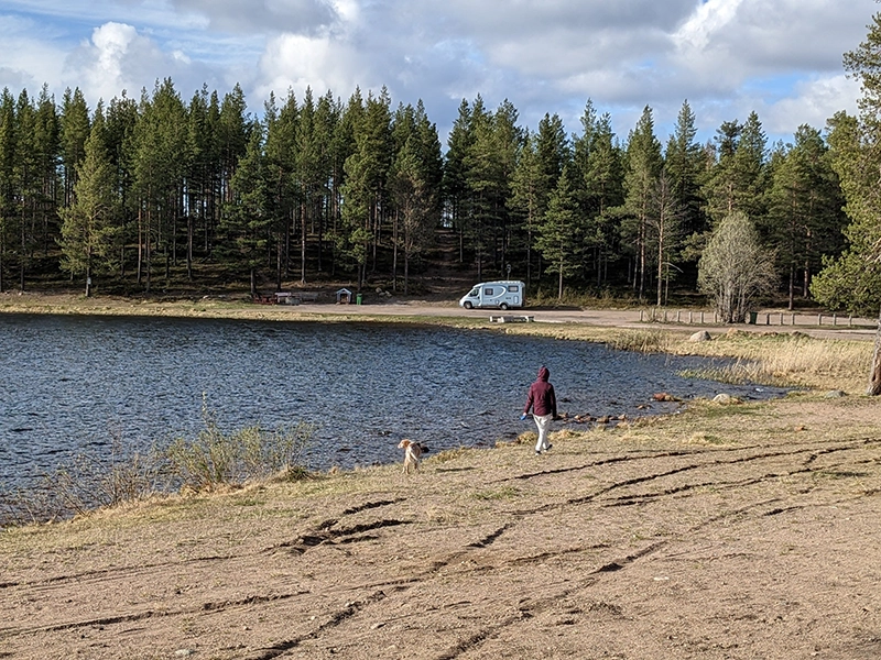 spot nature en Suède avec camping car bleu