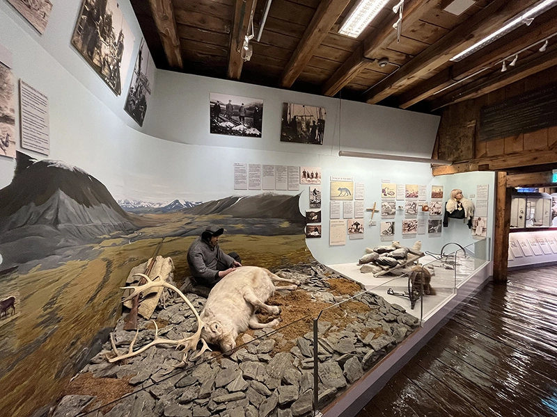 Polaar museum à Tromso Norvège