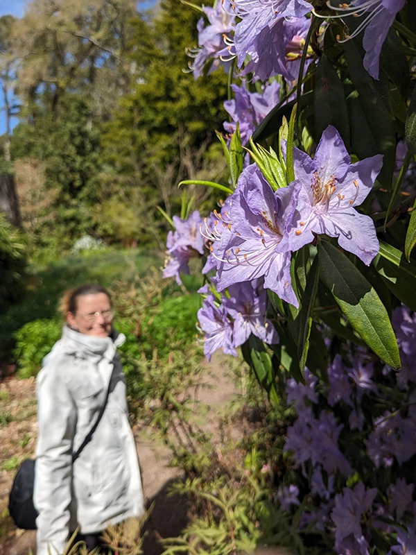 fleur dans un jardin