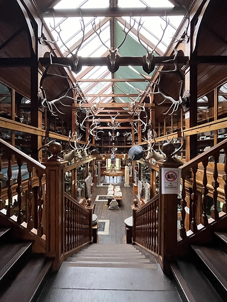 interieur du petit musée au château de Dunrobin en Ecosse