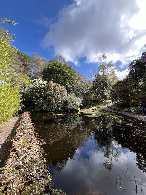 petit lac dans un jardin en Ecosse