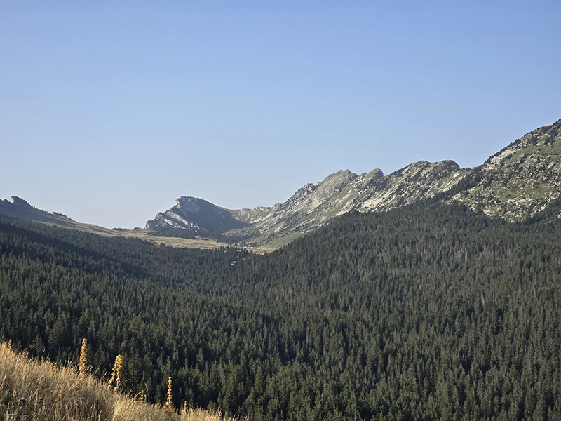 Sommet montagne tour de Chartreuse 2025