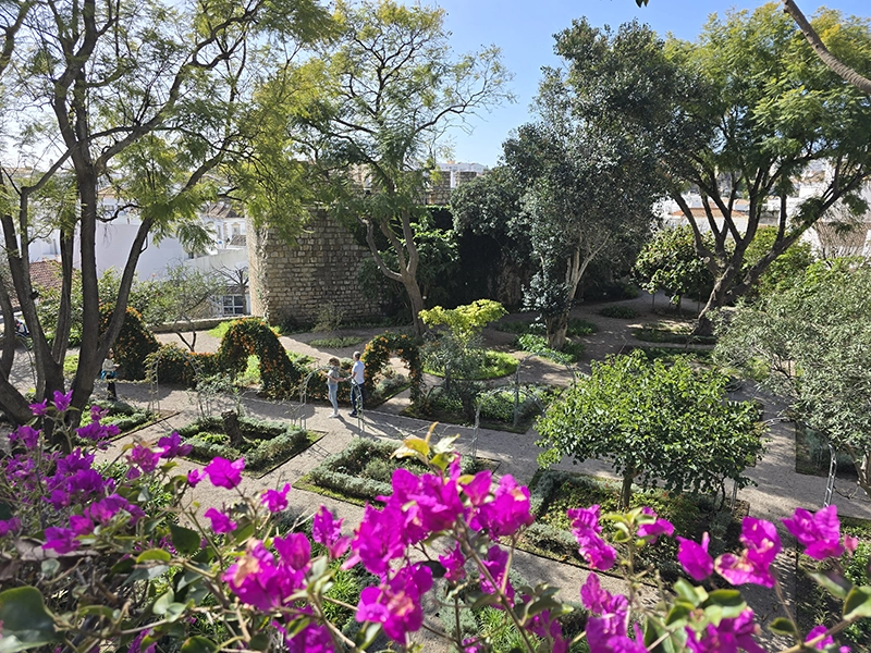 Jardin fleuri dans les ruines du château de Tavira