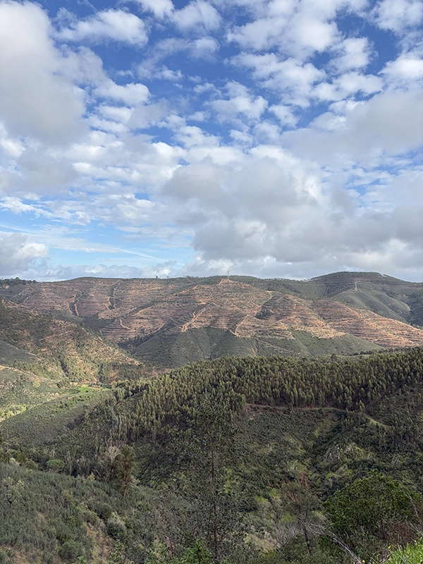 Vallée du Barranco do Demo dans l'Algarve au Portugal