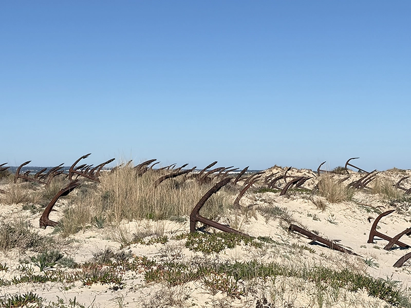 Encres sur la plage du cimetière des encres dans la région de l'Algarve au Portugal