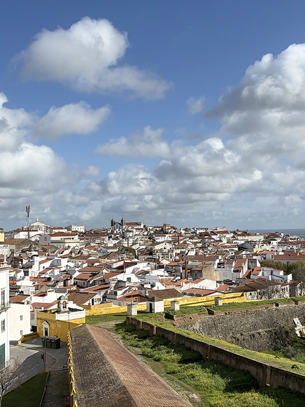 Vue sur les toits de la ville d'Elvas au Portugal